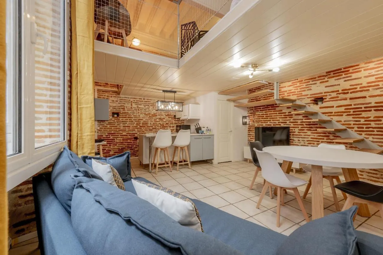 Le Capitoul - Appartement D Exception Hypercentre Toulouse