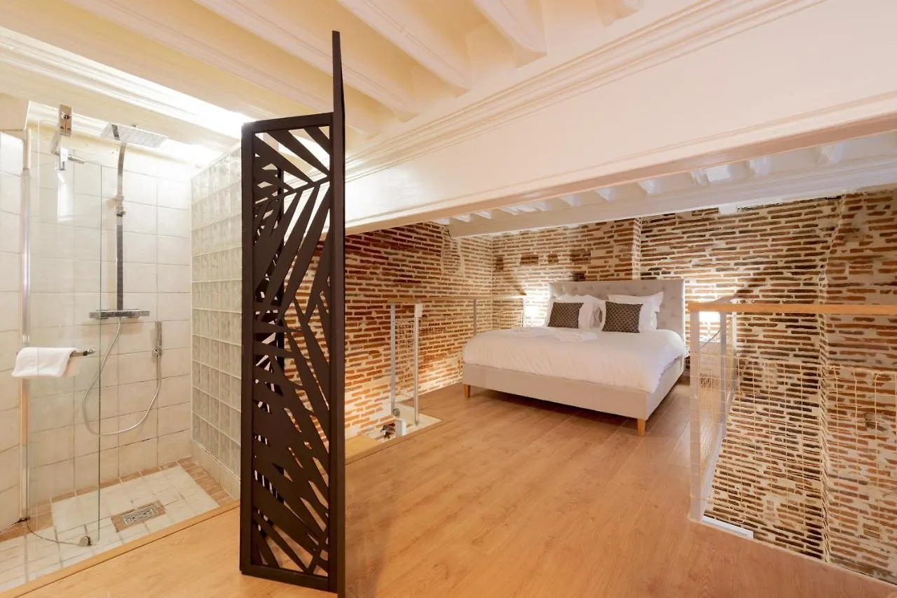Le Capitoul - Appartement D Exception Hypercentre Toulouse 0*,  France