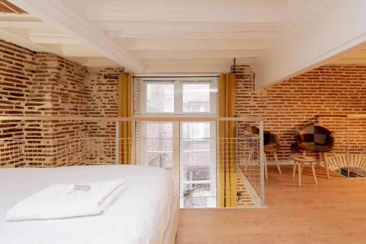 Le Capitoul - Appartement D Exception Hypercentre Toulouse France