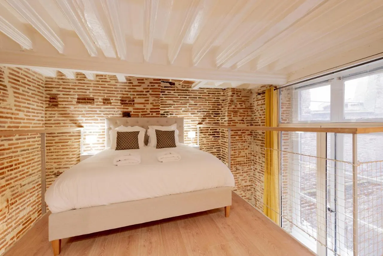 Le Capitoul - Appartement D Exception Hypercentre Toulouse